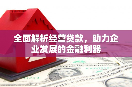 彰武全面解析经营贷款，助力企业发展的金融利器