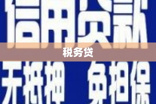 彰武税务贷