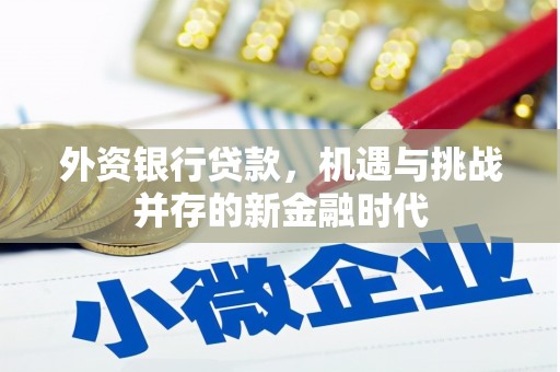 彰武外资银行贷款，机遇与挑战并存的新金融时代