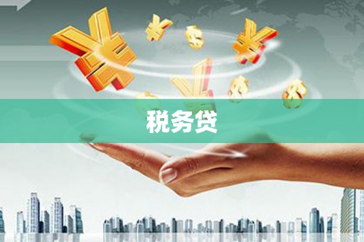 彰武税务贷