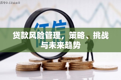 彰武贷款风险管理，策略、挑战与未来趋势