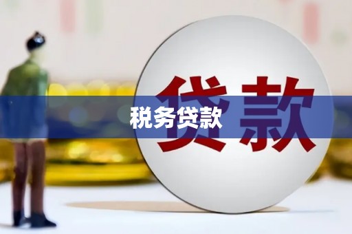 彰武税务贷款