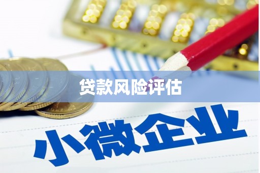 彰武贷款风险评估