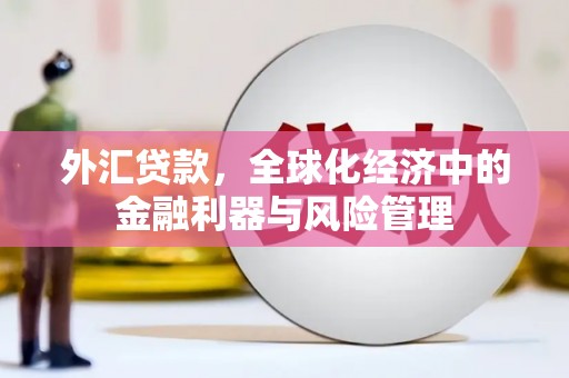 彰武外汇贷款，全球化经济中的金融利器与风险管理
