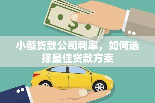 彰武小额贷款公司利率，如何选择最佳贷款方案
