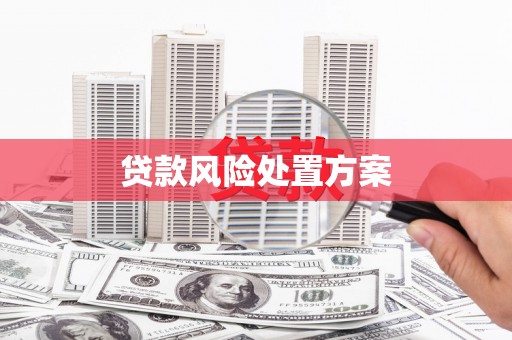 彰武贷款风险处置方案