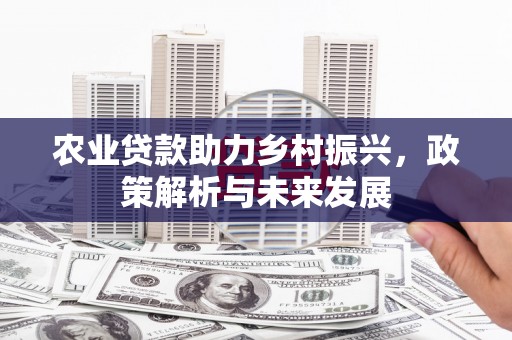 彰武农业贷款助力乡村振兴，政策解析与未来发展