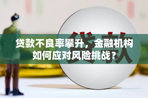 彰武贷款不良率攀升，金融机构如何应对风险挑战？