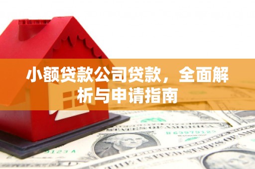 彰武小额贷款公司贷款，全面解析与申请指南