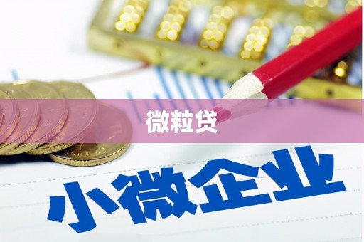 彰武微粒贷