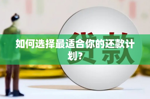 彰武如何选择最适合你的还款计划？