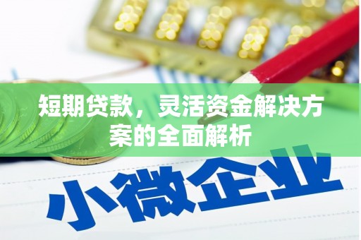 彰武短期贷款，灵活资金解决方案的全面解析