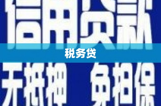 彰武税务贷