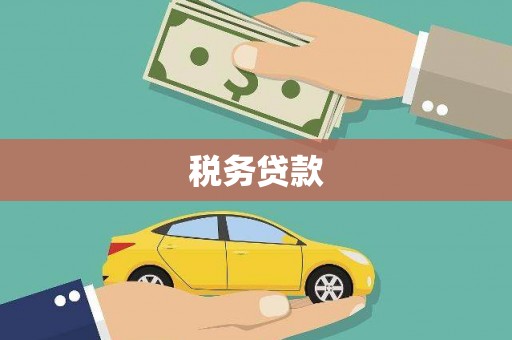 彰武税务贷款