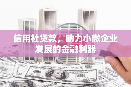 彰武信用社贷款，助力小微企业发展的金融利器