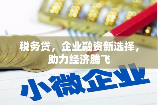 彰武税务贷，企业融资新选择，助力经济腾飞