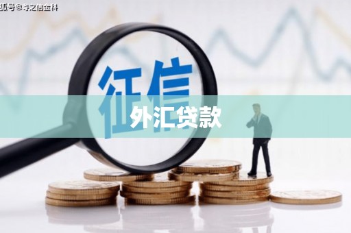 彰武外汇贷款