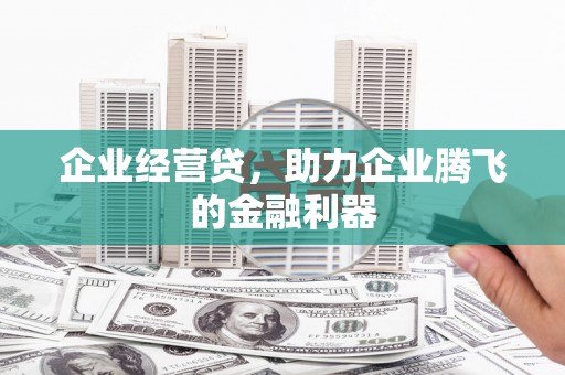 彰武企业经营贷，助力企业腾飞的金融利器