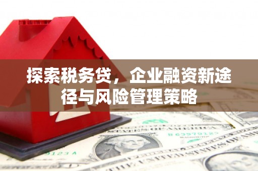 彰武探索税务贷，企业融资新途径与风险管理策略