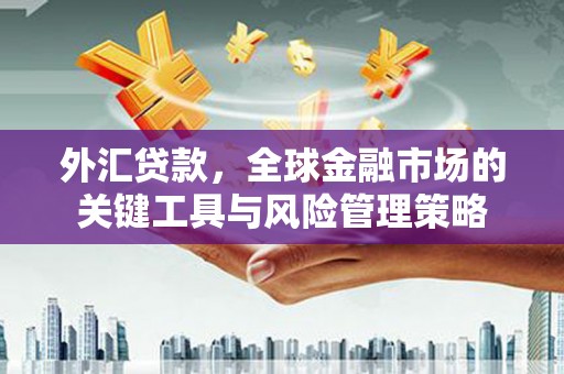 彰武外汇贷款，全球金融市场的关键工具与风险管理策略