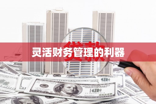 彰武灵活财务管理的利器