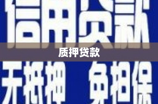 彰武质押贷款
