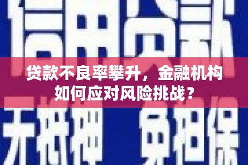 彰武贷款不良率攀升，金融机构如何应对风险挑战？