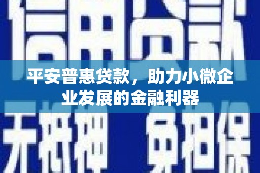 彰武平安普惠贷款，助力小微企业发展的金融利器