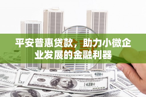 彰武平安普惠贷款，助力小微企业发展的金融利器