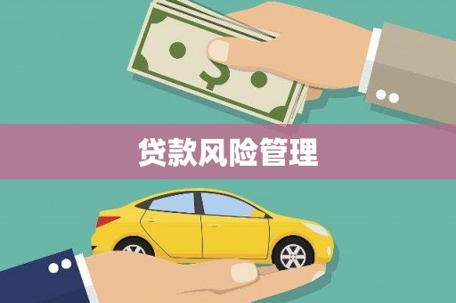 彰武贷款风险管理