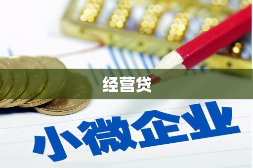 彰武经营贷