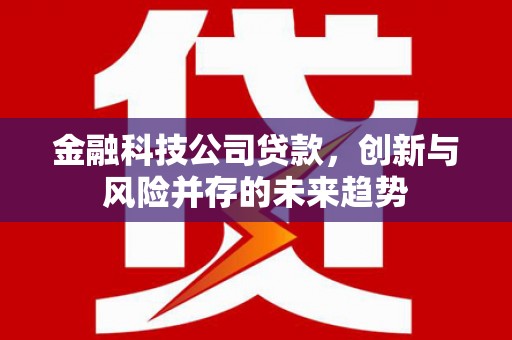 彰武金融科技公司贷款，创新与风险并存的未来趋势