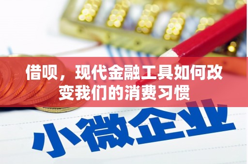 彰武借呗，现代金融工具如何改变我们的消费习惯