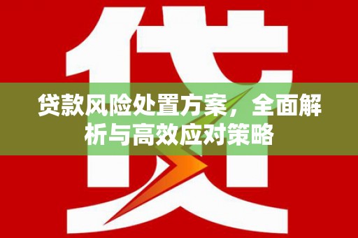 彰武贷款风险处置方案，全面解析与高效应对策略