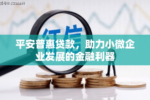 彰武平安普惠贷款，助力小微企业发展的金融利器