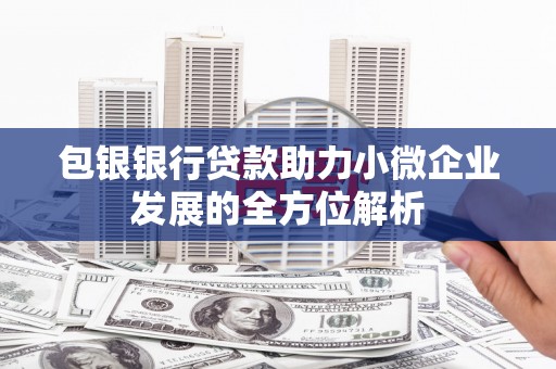 彰武包银银行贷款助力小微企业发展的全方位解析