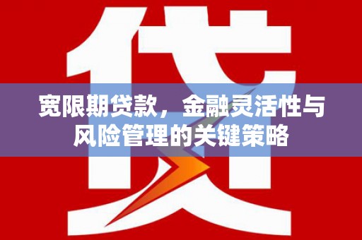 彰武宽限期贷款，金融灵活性与风险管理的关键策略