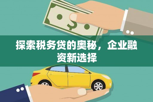 彰武探索税务贷的奥秘，企业融资新选择