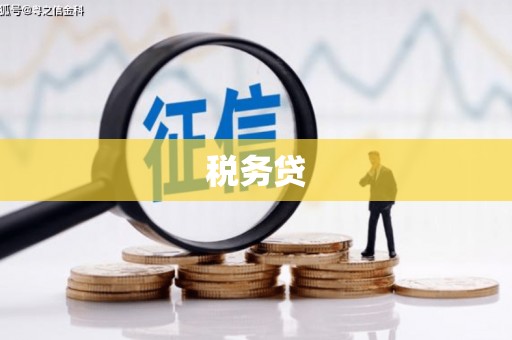 彰武税务贷