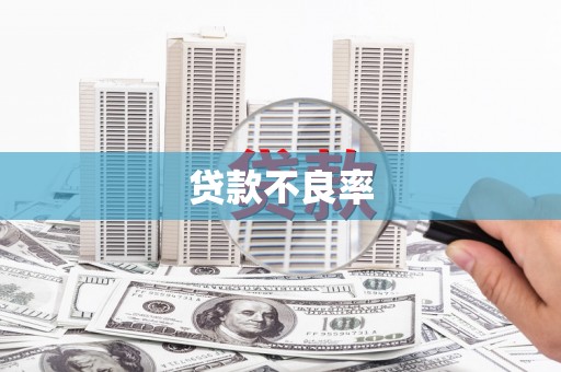 彰武贷款不良率