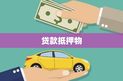 彰武贷款抵押物