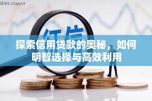 彰武探索信用贷款的奥秘，如何明智选择与高效利用