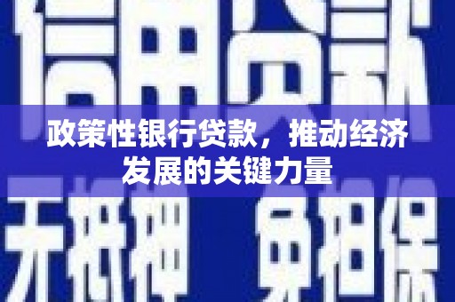 彰武政策性银行贷款，推动经济发展的关键力量