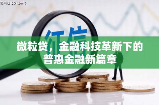 彰武微粒贷，金融科技革新下的普惠金融新篇章