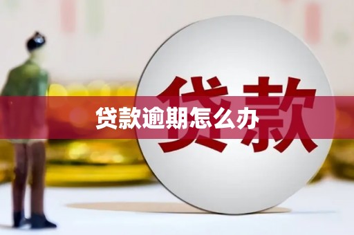 彰武贷款逾期怎么办