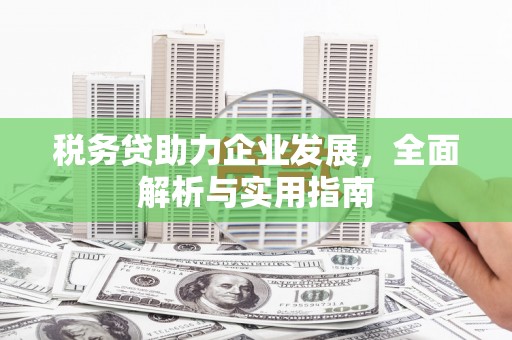 彰武税务贷助力企业发展，全面解析与实用指南
