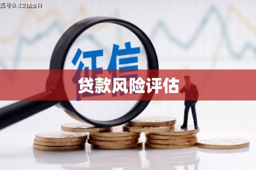 彰武贷款风险评估