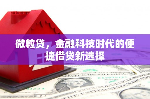 彰武微粒贷，金融科技时代的便捷借贷新选择