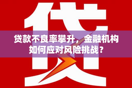 彰武贷款不良率攀升，金融机构如何应对风险挑战？