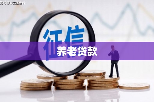 彰武养老贷款